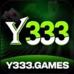 333y game